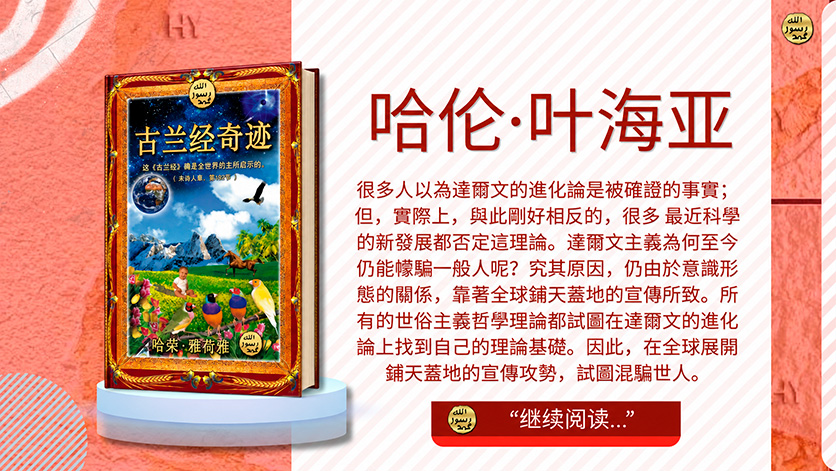 《古蘭經》的奇蹟