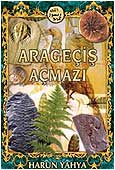 Kitap Dünyası: Arageçiş Açmazı