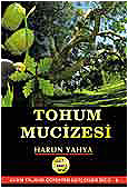 Kitap Dünyası: Tohum Mucizesi