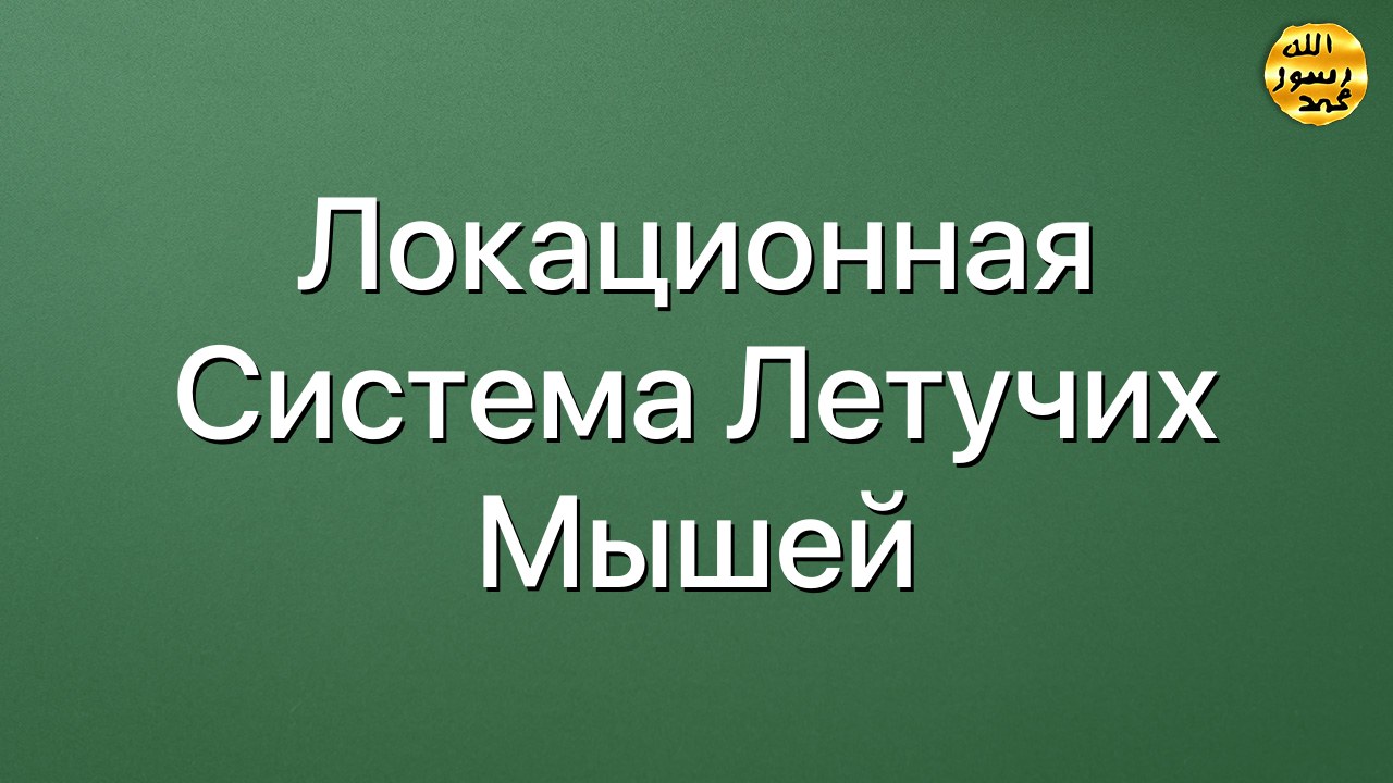 Локационная система летучих мышей