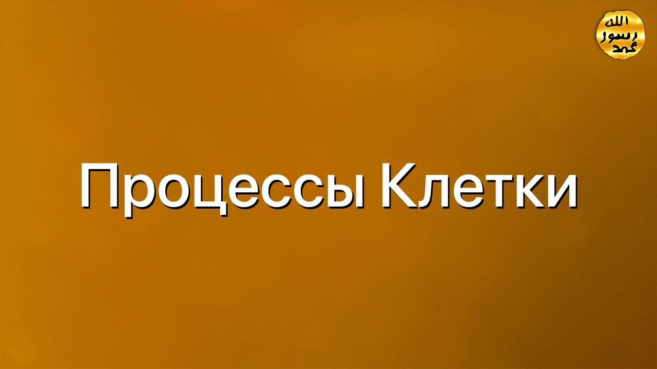 Процессы клетки