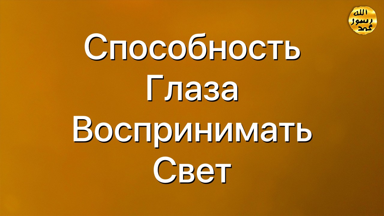 Способность глаза воспринимать свет