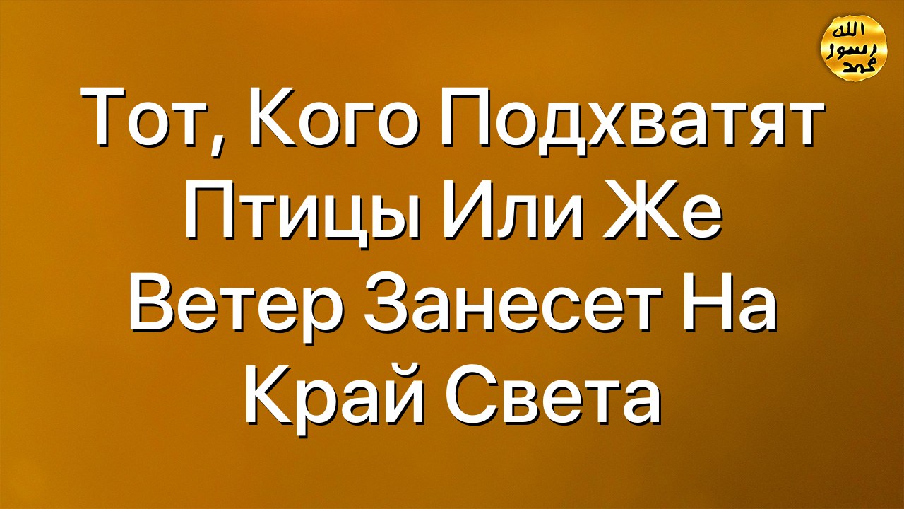 Тот, кого подхватят птицы или же ветер занесет на край света