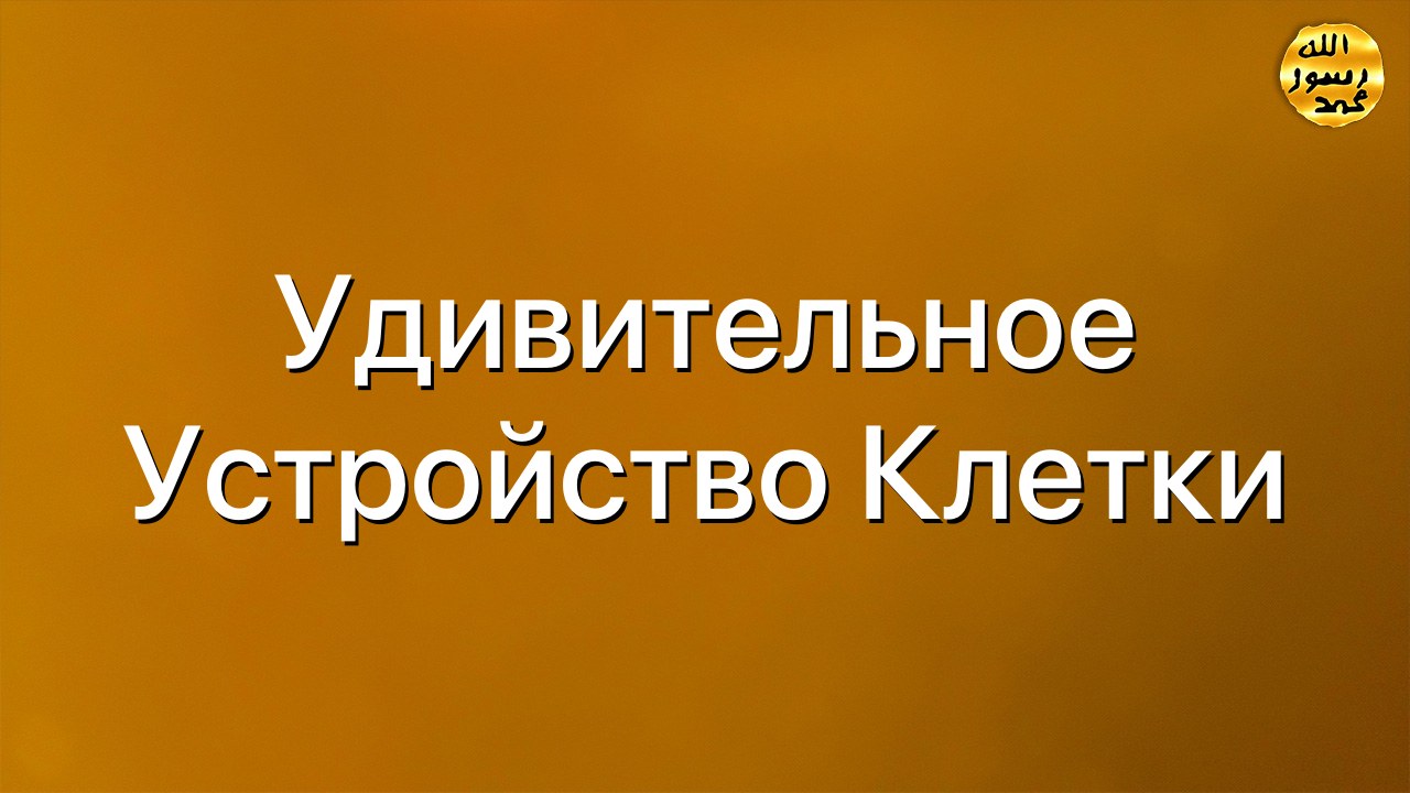 Удивительное устройство клетки