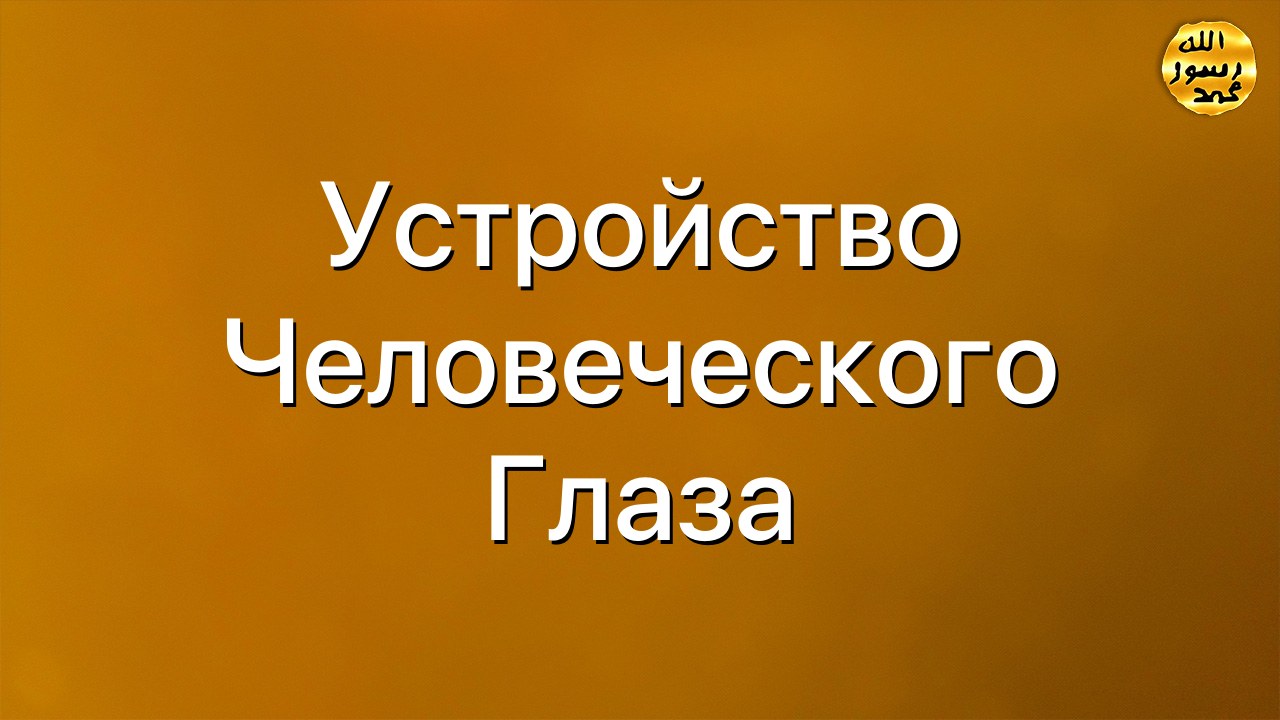 Устройство человеческого глаза