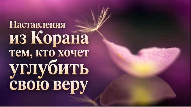 Наставления из Корана тем, кто хочет углубить свою веру