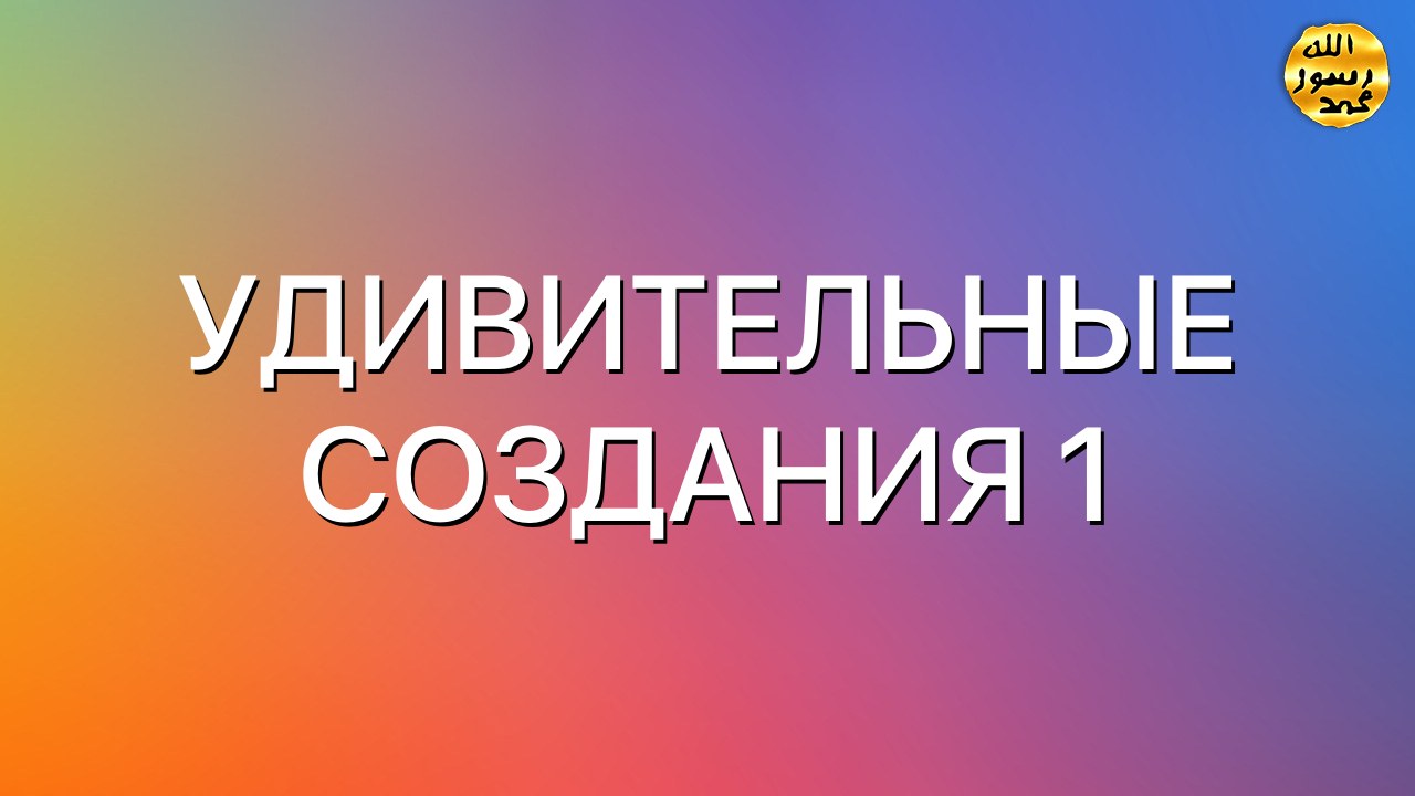 УДИВИТЕЛЬНЫЕ СОЗДАНИЯ 1
