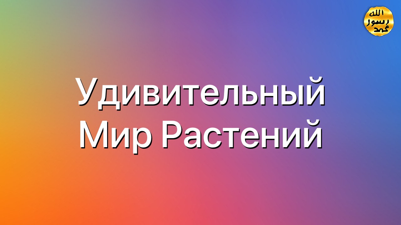 Удивительный мир растений