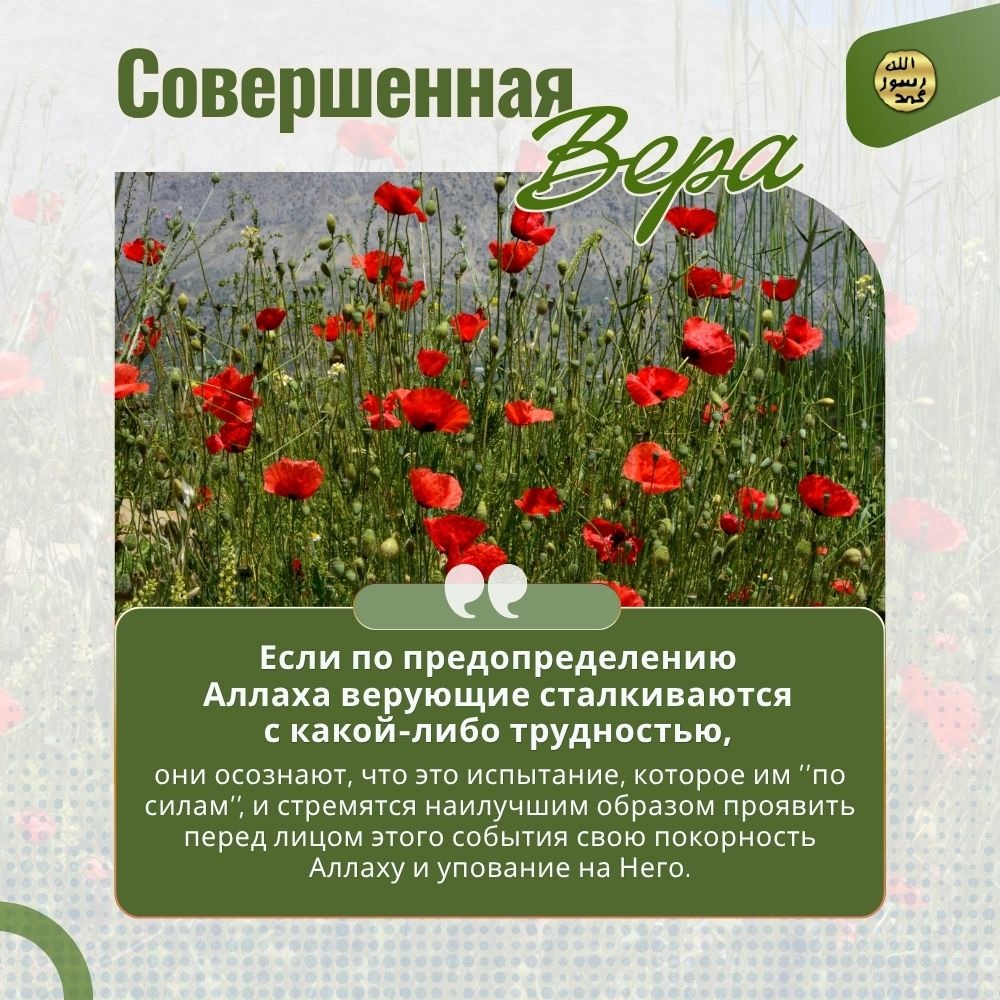 Совершенная вера