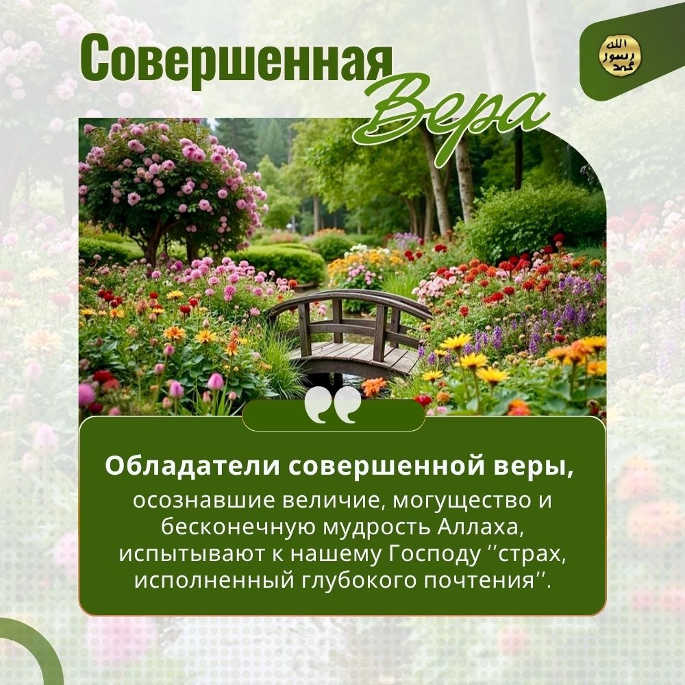 Совершенная вера