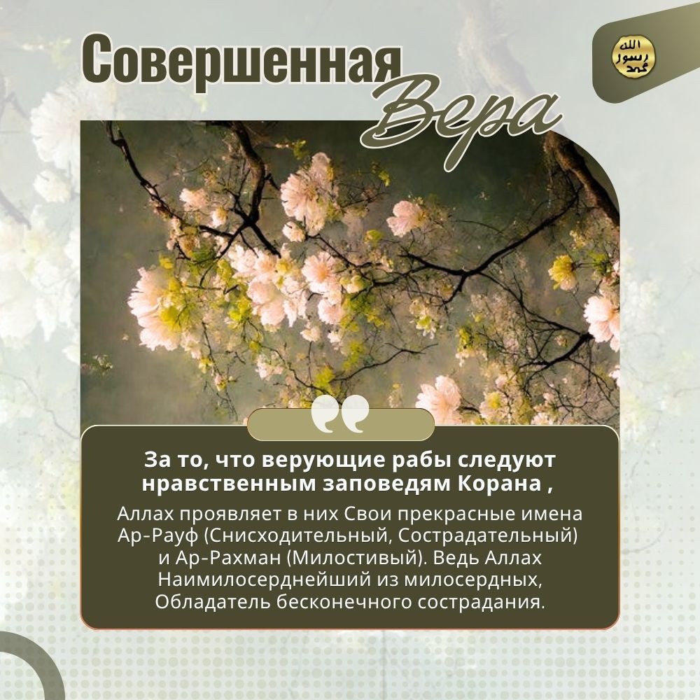 Совершенная вера