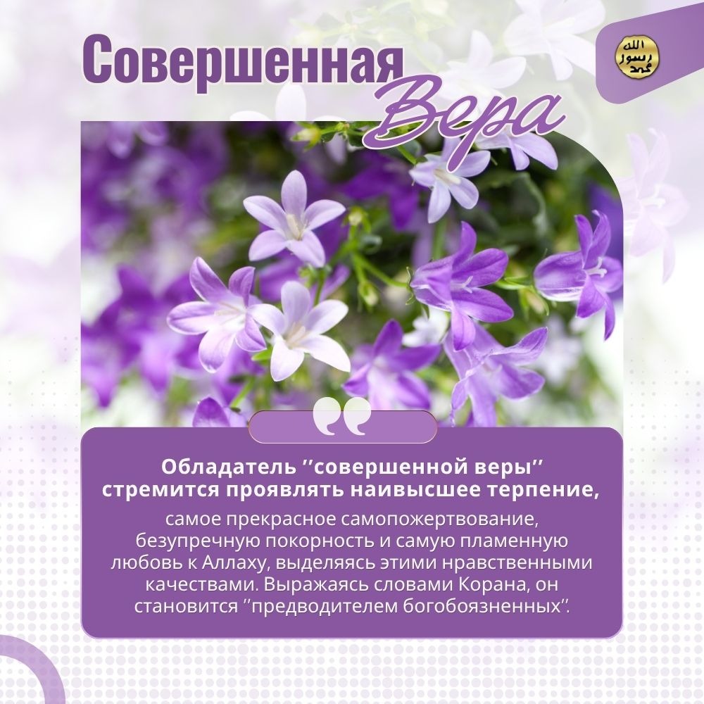 Совершенная вера