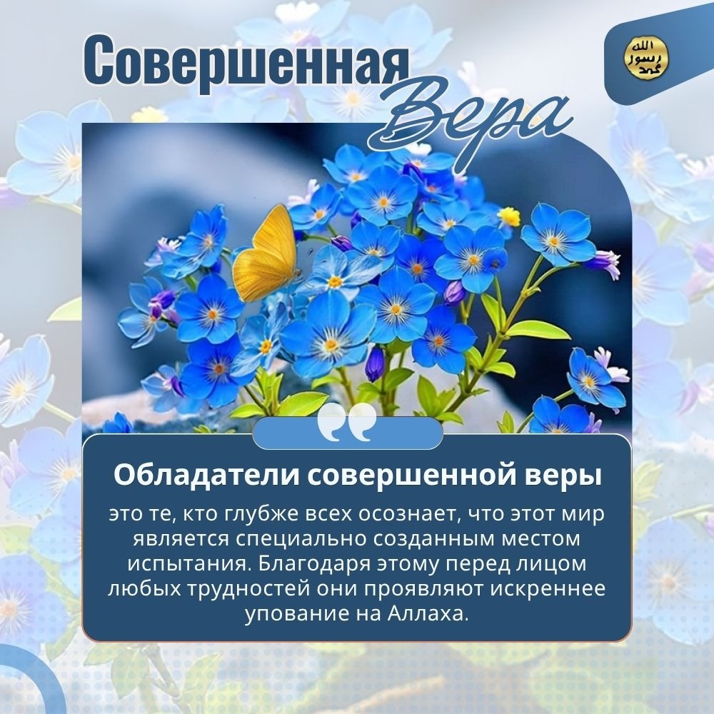 Совершенная вера