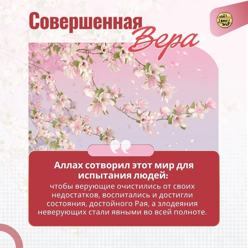 Совершенная вера