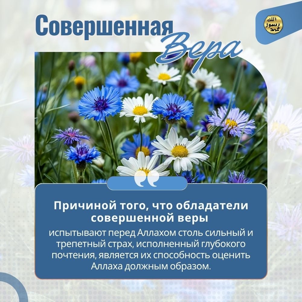 Совершенная вера
