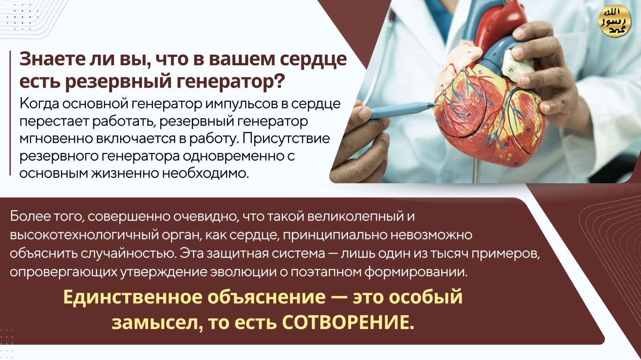 Человеческое Тело