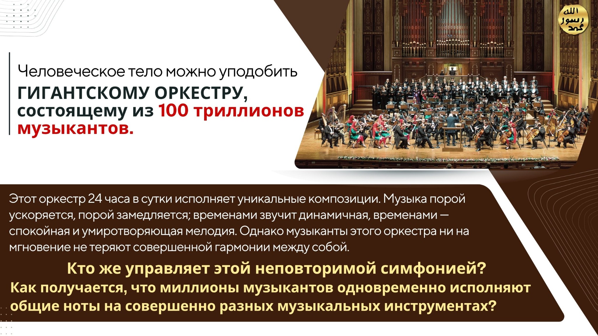 Человеческое Тело