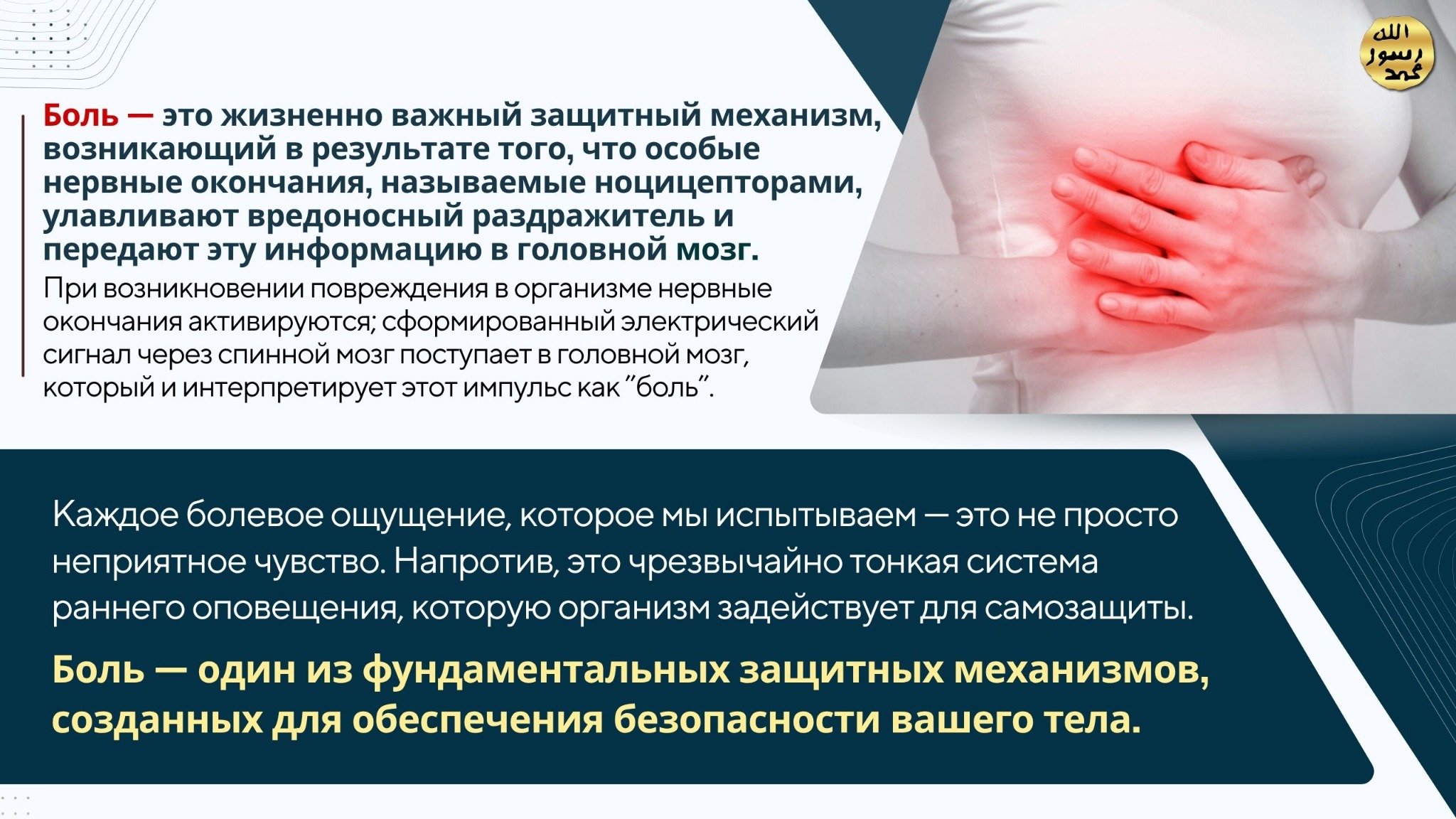 Человеческое Тело