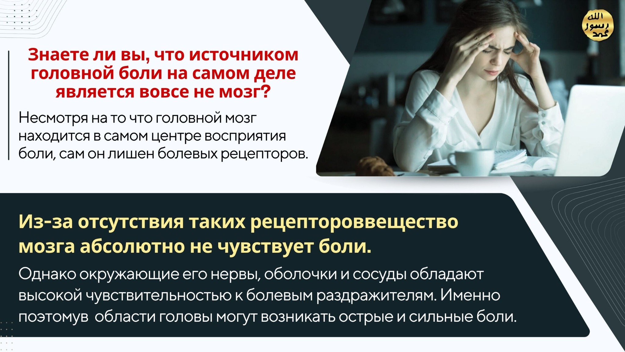 Человеческое Тело