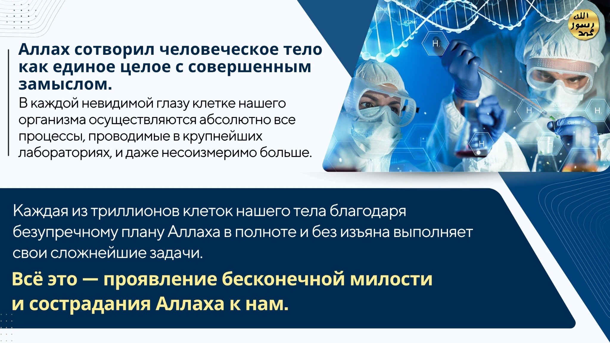 Человеческое Тело