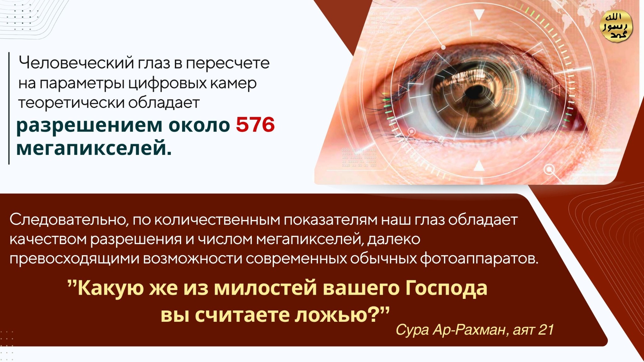 Человеческое Тело