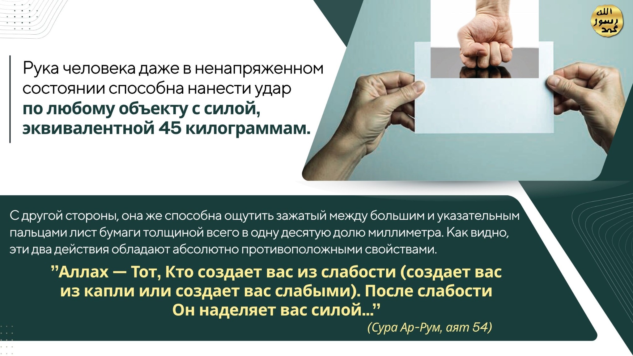 Человеческое Тело