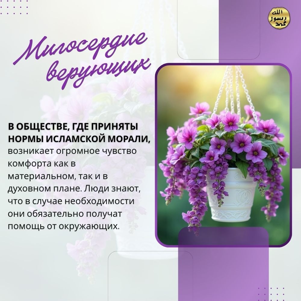 Милосердие верующих