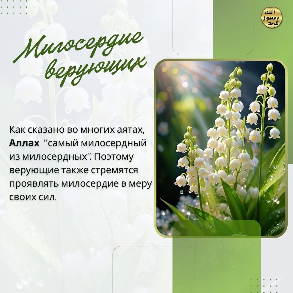 Милосердие верующих