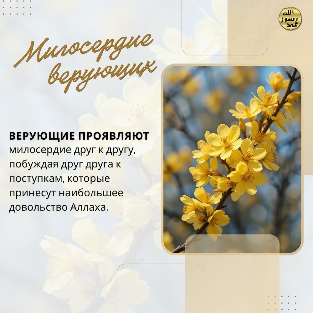 Милосердие верующих