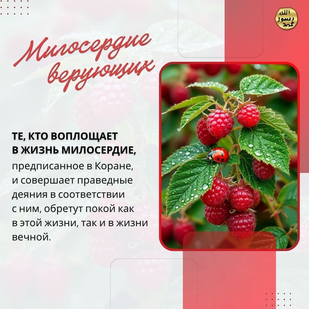Милосердие верующих