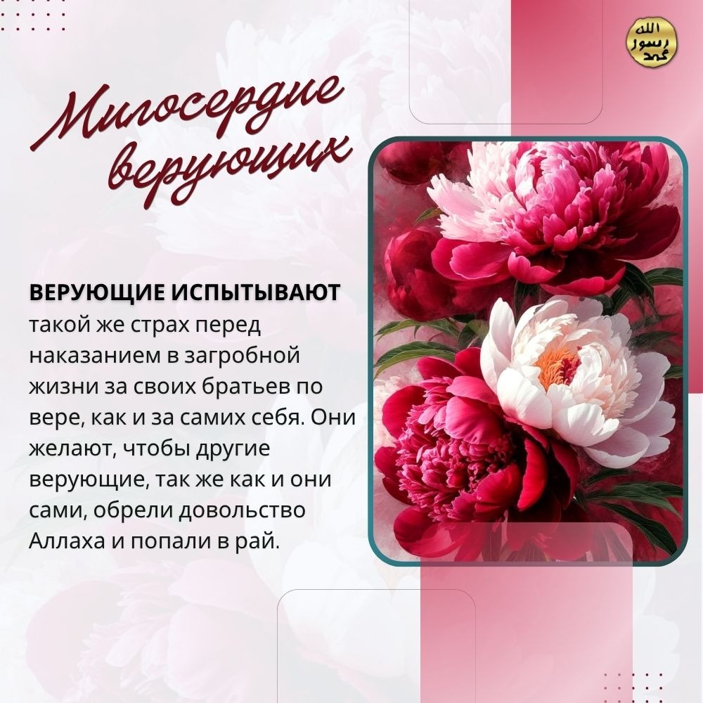 Милосердие верующих