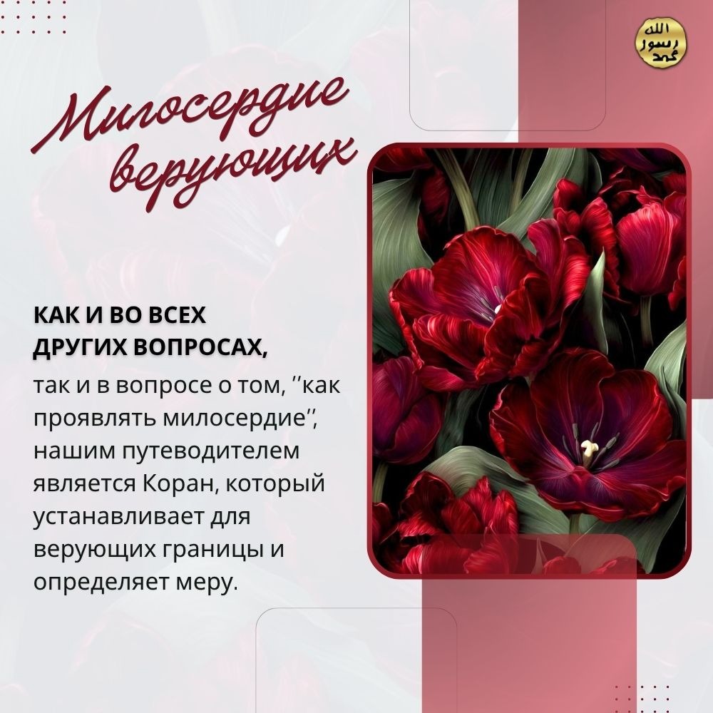 Милосердие верующих