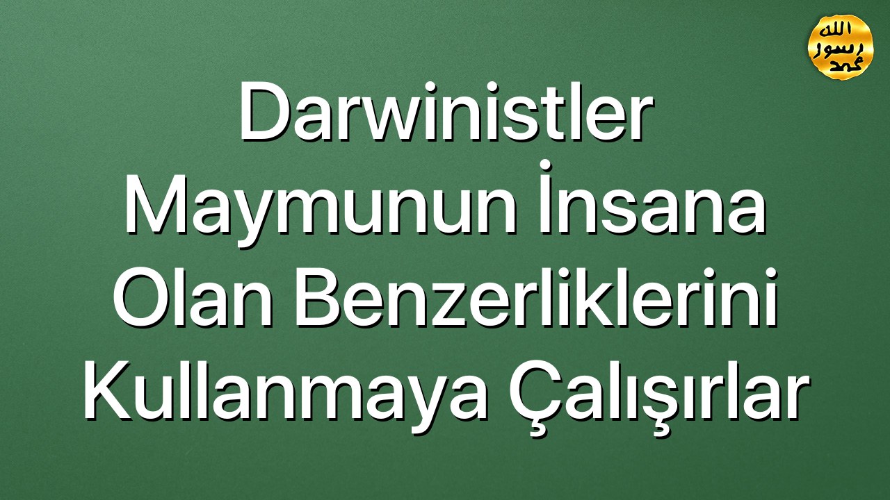 Darwinistler Maymunun İnsana Olan Benzerliklerini Kullanmaya Çalışırlar