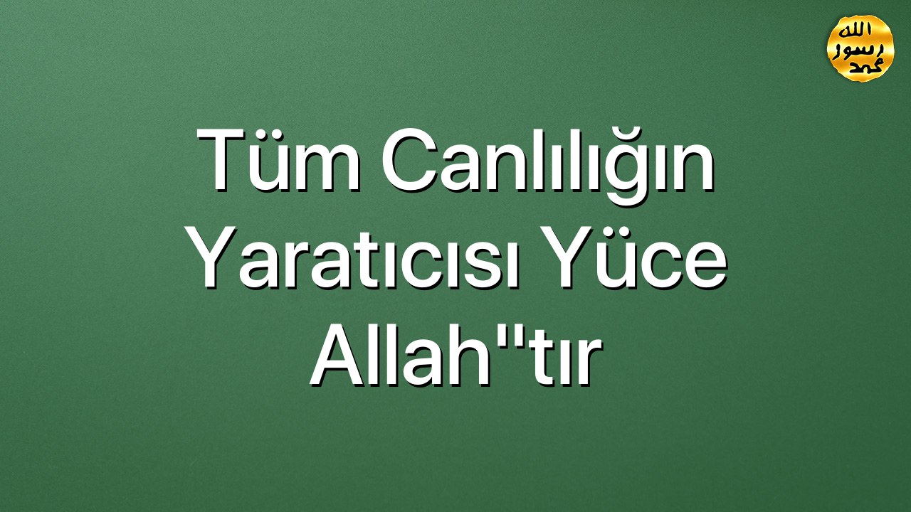 Tüm Canlılığın Yaratıcısı Yüce Allah"tır