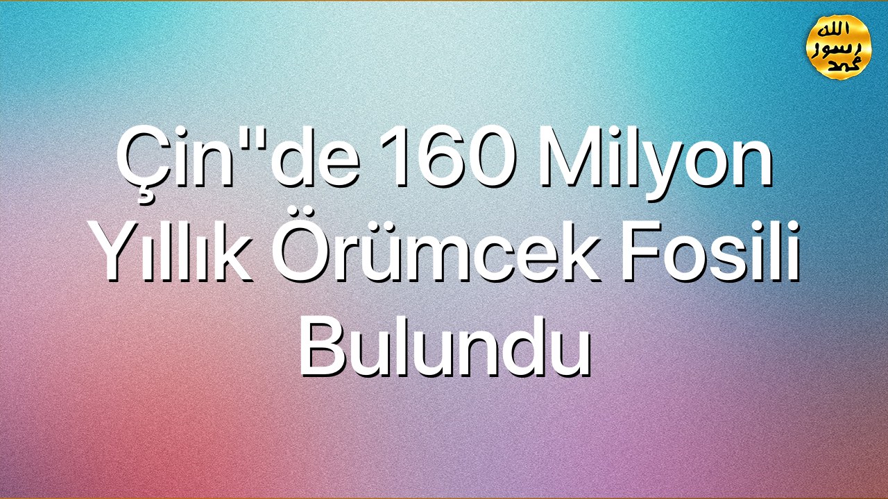 Çin"de 160 Milyon Yıllık Örümcek Fosili Bulundu
