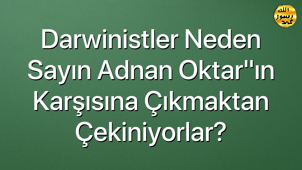 Darwinistler Neden Sayın Adnan Oktar"ın Karşısına Çıkmaktan Çekiniyorlar?