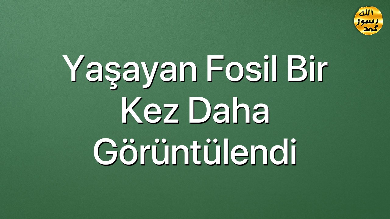 Yaşayan Fosil Bir Kez Daha Görüntülendi