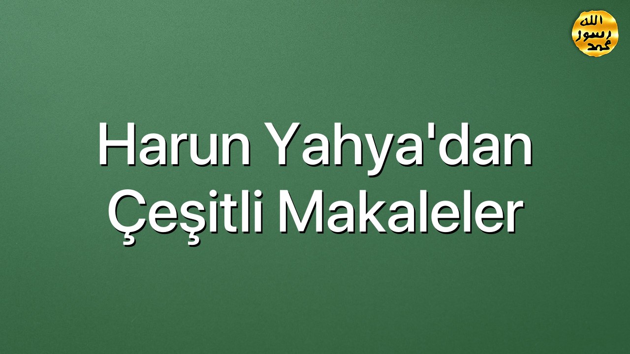 Harun Yahya'dan Çeşitli Makaleler