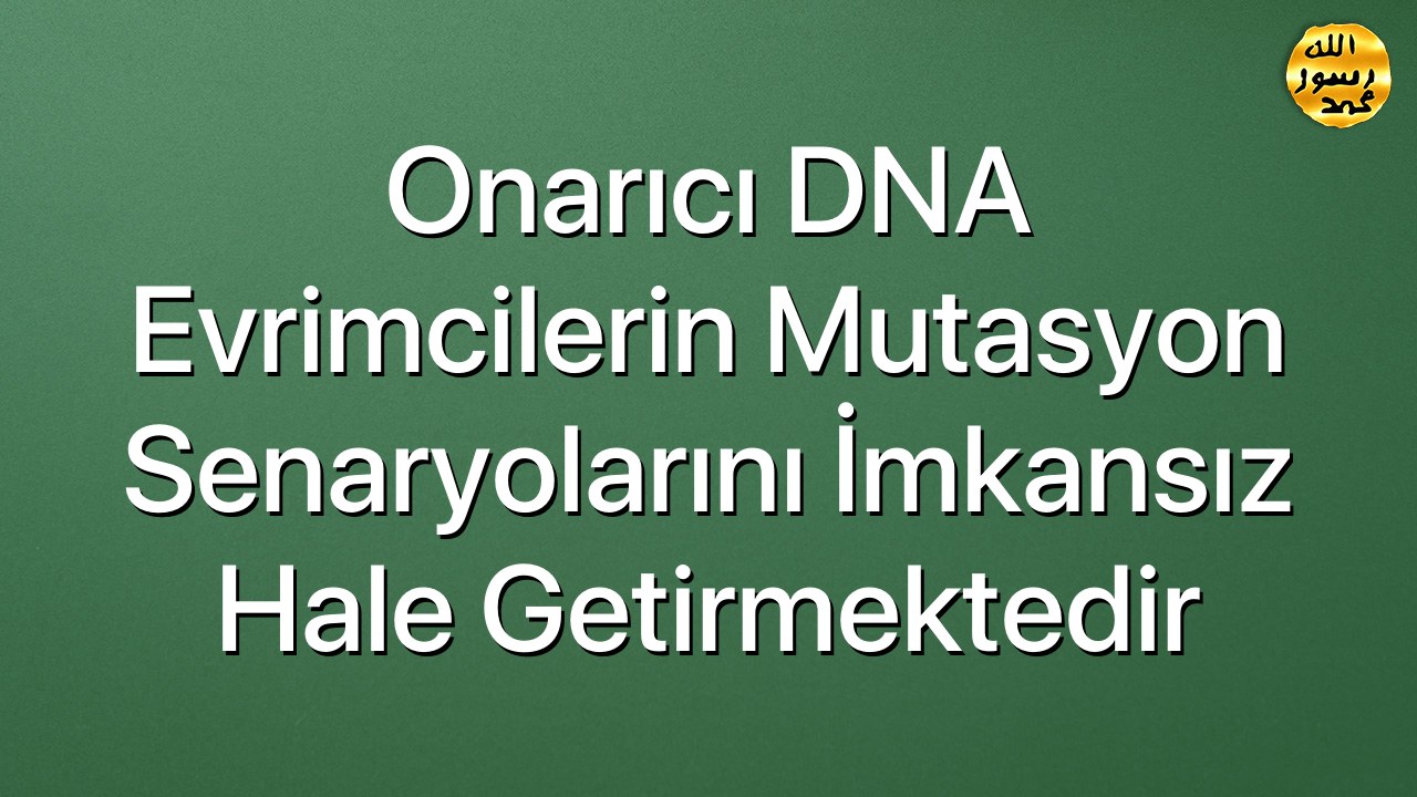 Onarıcı DNA evrimcilerin mutasyon senaryolarını imkansız hale getirmektedir