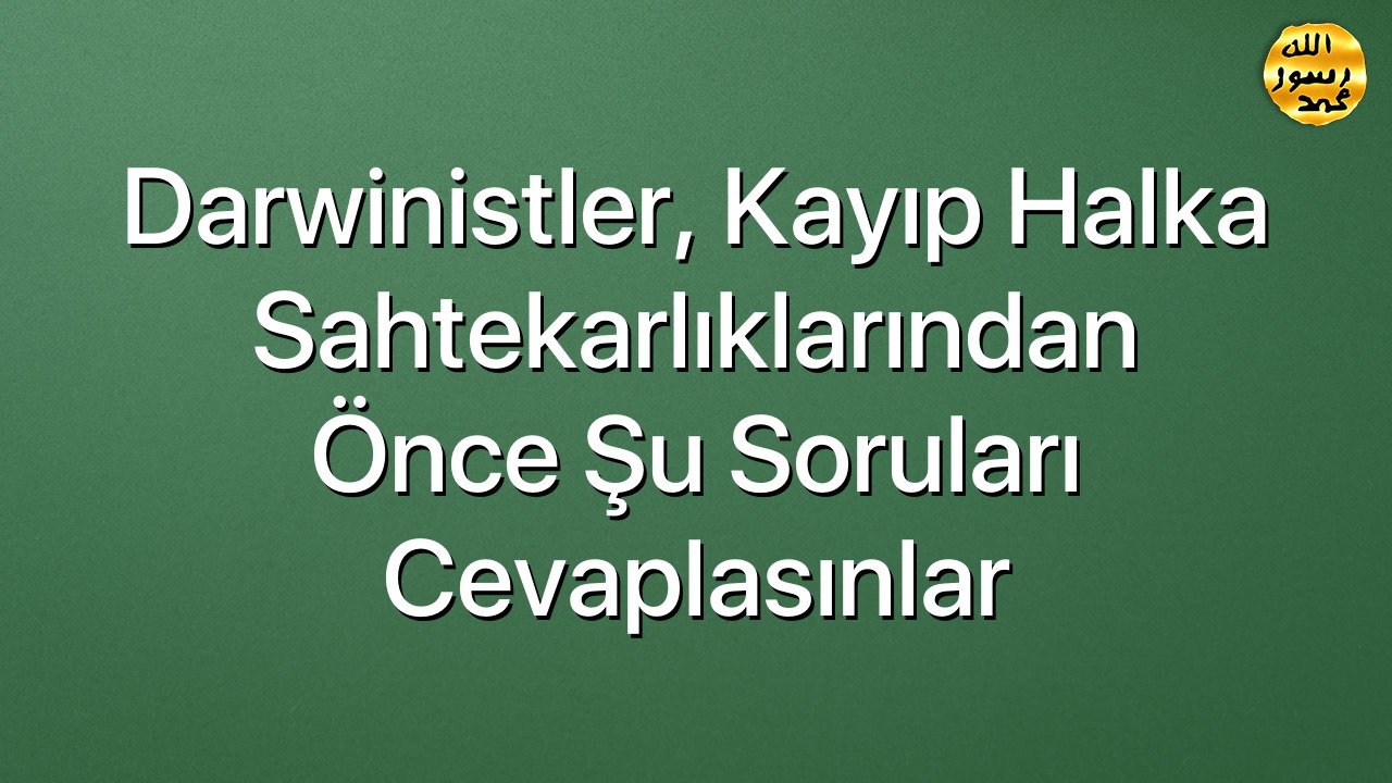 Darwinistler, kayıp halka sahtekarlıklarından önce şu soruları cevaplasınlar