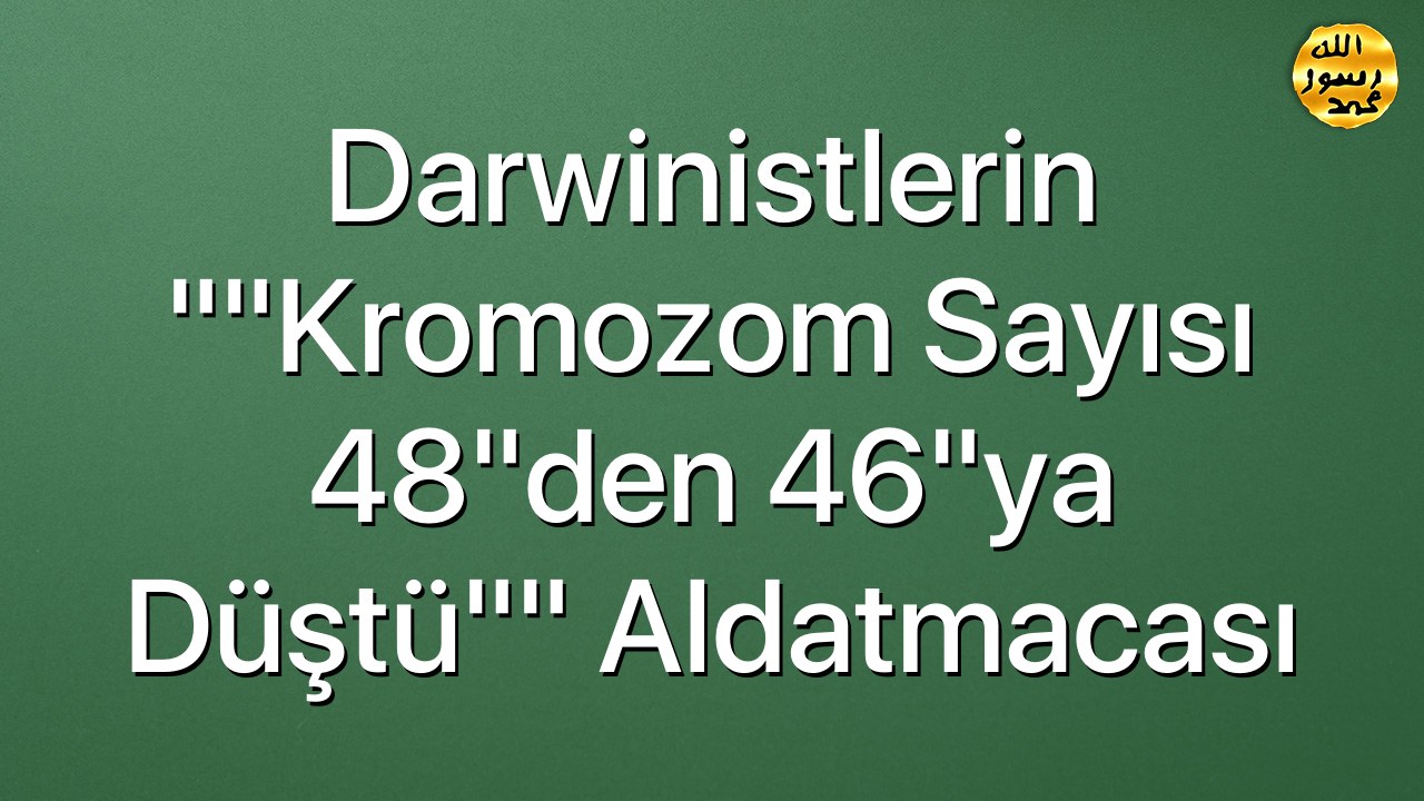 Darwinistlerin ""Kromozom Sayısı 48"den 46"ya Düştü"" Aldatmacası