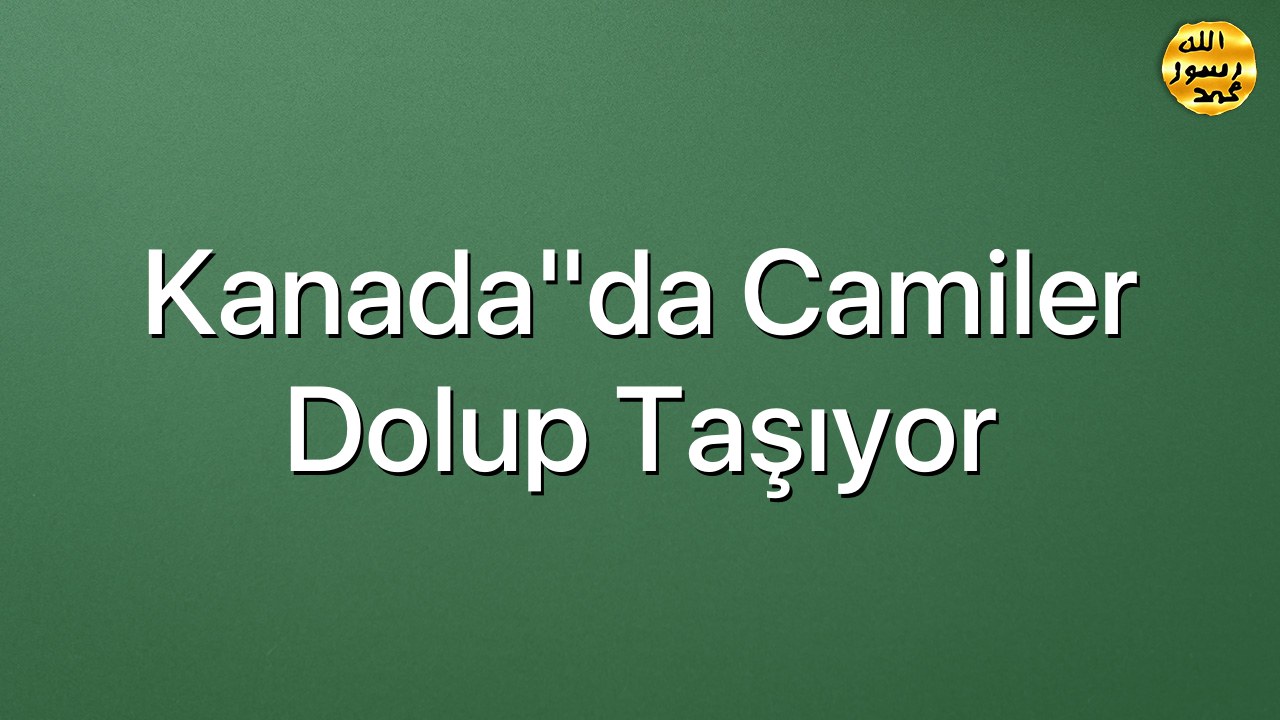 Kanada"da camiler dolup taşıyor