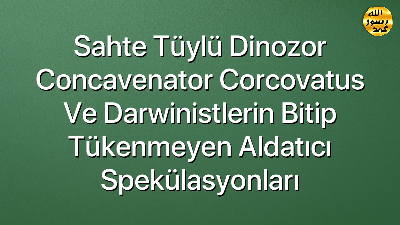 Sahte tüylü dinozor Concavenator Corcovatus ve Darwinistlerin bitip tükenmeyen aldatıcı spekülasyonları