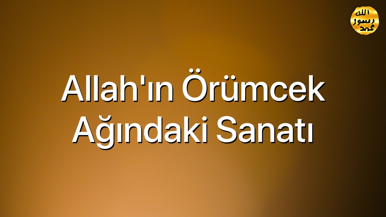 Allah’ın Örümcek Ağındaki Sanatı