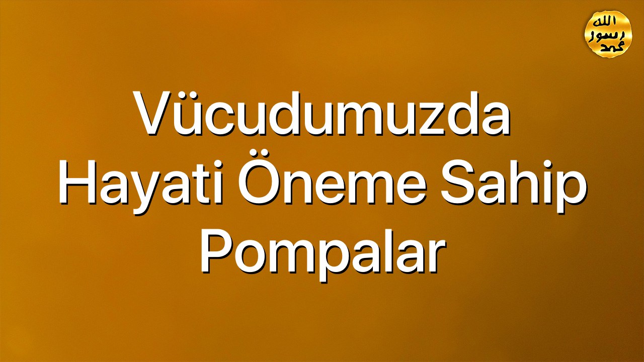 Vücudumuzda Hayati Öneme Sahip Pompalar