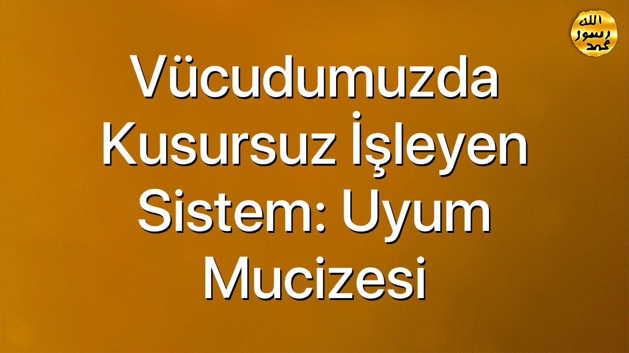 Vücudumuzda Kusursuz İşleyen Sistem: Uyum Mucizesi