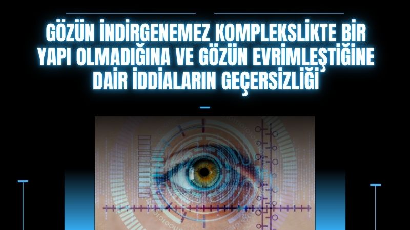 Gözün indirgenemez komplekslikte bir yapı olmadığına ve gözün evrimleştiğine dair iddiaların geçersizliği