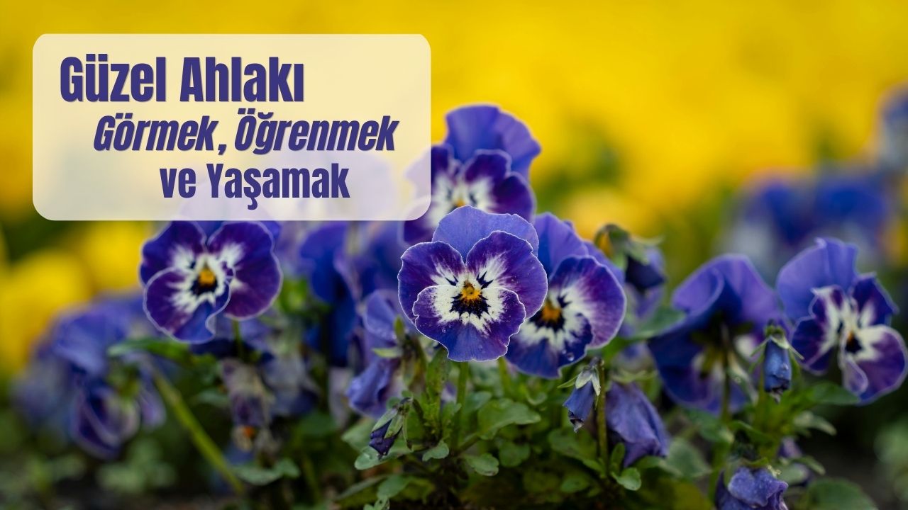 Güzel Ahlakı Görmek, Öğrenmek ve Yaşamak