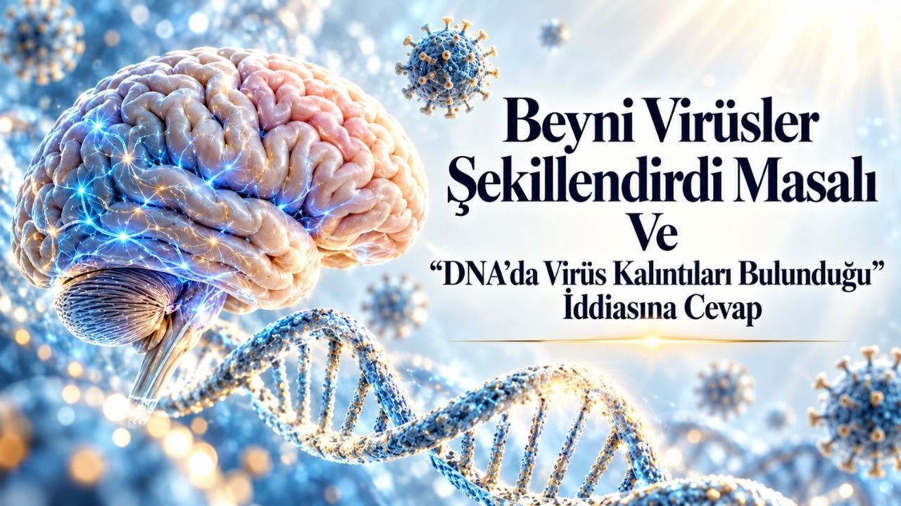 Beyni Virüsler Şekillendirdi Masalı Ve “Dna’da Virüs Kalıntıları Bulunduğu” İddiasına Cevap