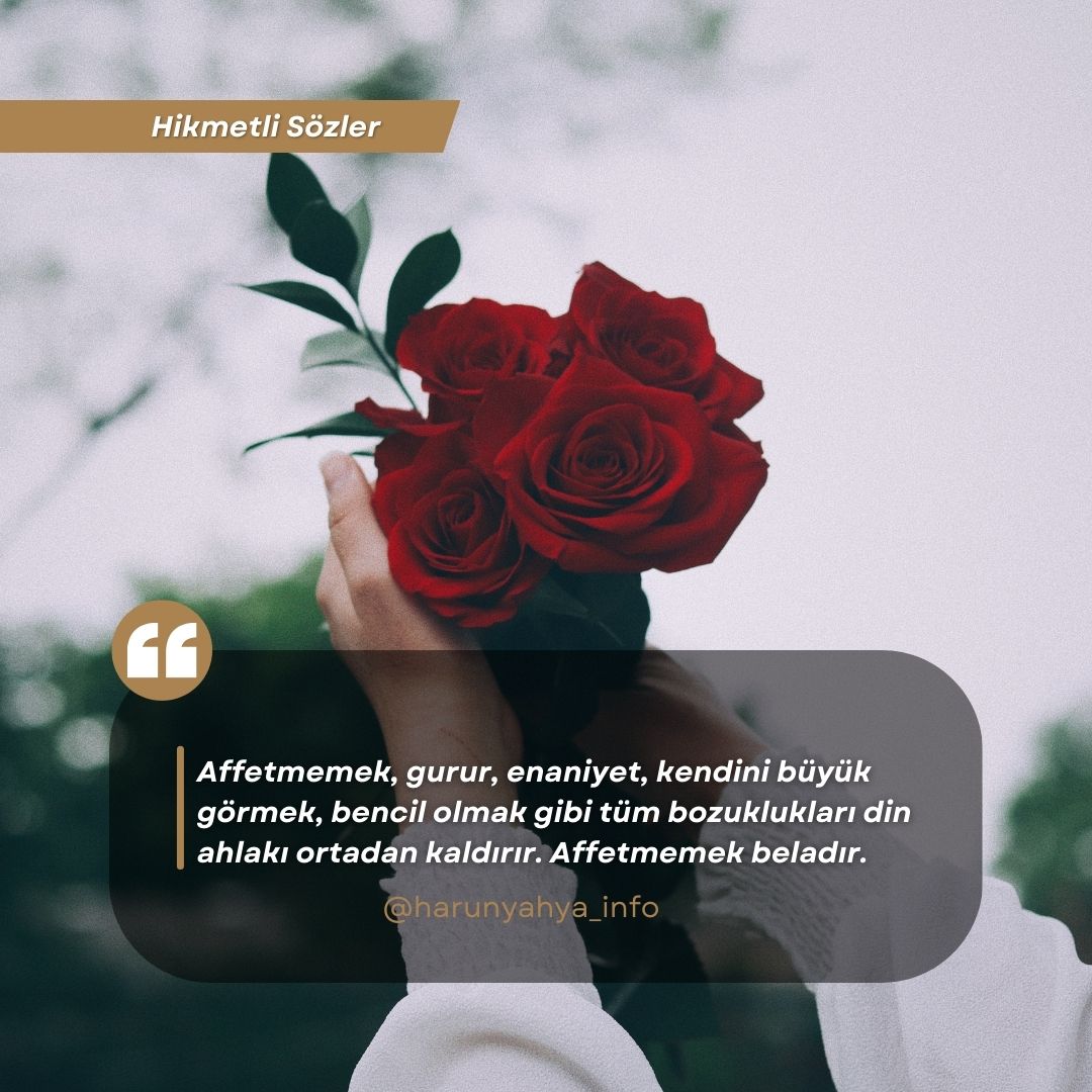 Hikimeltli sözler